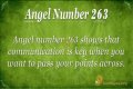 263 Angel Number Meaning - Pulptastic