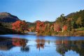 Best Fall Foliage Cruise Destinations