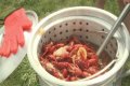 Cajun Fest moves to Iowa State Fairgrounds’ venue