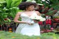 Carlos Santana Wife: Is Carlos Santana Married?
